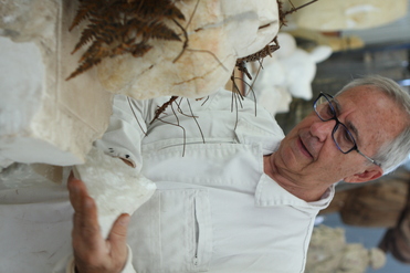 Manolo Valdés