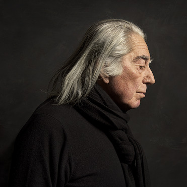 Fabrizio Plessi