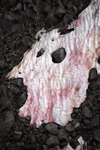 Thomas Wrede, Presena Gletscher Blutschnee #1, 2020, &copy; Thomas Wrede + VG Bild-Kunst