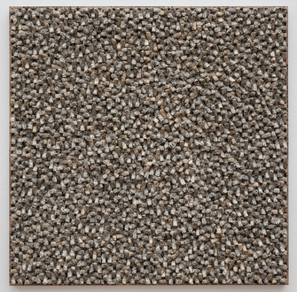 Chun Kwang Young, Aggregation 98-S68A, 1998