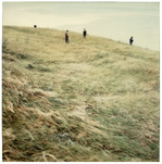 Knut Wolfgang Maron, Les faux témoins, 1988, 2022