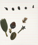 Tamara K. E., untitled (from the series: Run Antonin), 2014