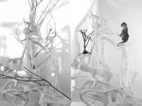 Hartmut Neumann, Die neue falsche Welt der Affen - Unklare Zustände. Kleiner Baum, 2009