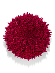 Chun Kwang Young, Aggregation 18-SE055 (Star 4), 2018