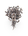 Georg Hornemann, Medusa, 2013