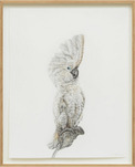 Svenja Schüffler, Schrödinger's Bird 15 (from the series: An Experiment on a Bird), 2021