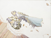 Aljoscha, p-landscape # 14, 2012