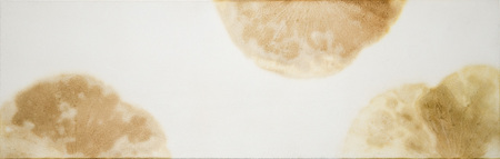 Morio Nishimura, Kalpa