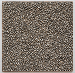 Chun Kwang Young, Aggregation 98-S68A, 1998