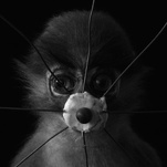 Hartmut Neumann, Punk-Affe strahlend, 2008, &copy; Hartmut Neumann + VG Bild-Kunst, Bonn