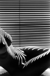 Lucien Clergue, Nu zébré (New York 1997), 1997