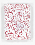 Joachim Elzmann, o. T., 2019