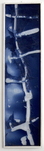 Chris Reinecke, o. T., 1996, &copy; Chris Reinecke