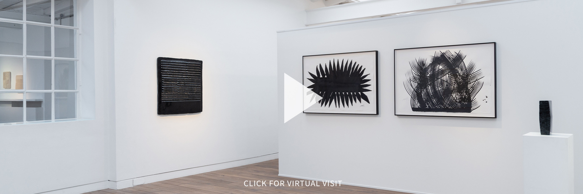 Virtual Visit