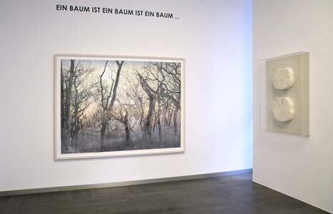 Baum_IFA_1207BE2015nw.jpg (c) Beck & Eggeling International Fine Art
