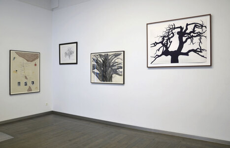 Baum_IFA_1208BE2015nw.jpg (c) Beck & Eggeling International Fine Art