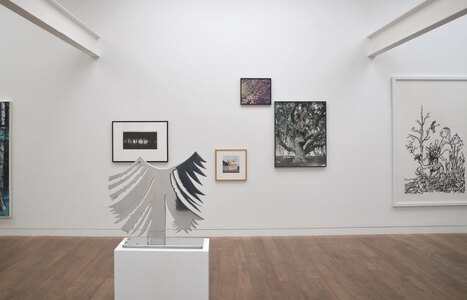 Baum_NQ_1166BE2105nw.jpg (c) Beck & Eggeling International Fine Art