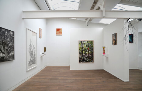 Baum_NQ_1177BE2015nw.jpg (c) Beck & Eggeling International Fine Art